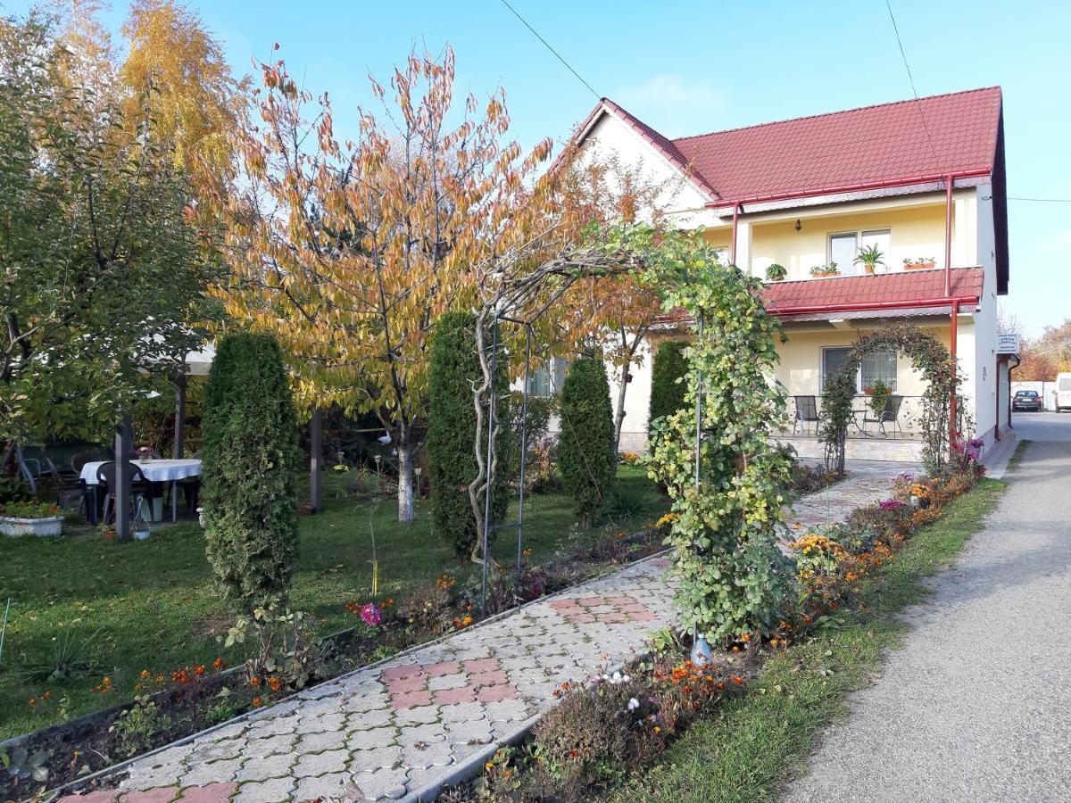 Steaua Nordului Hotel Targu Neamt ภายนอก รูปภาพ